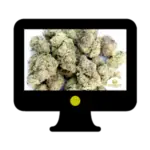 cannabis farming