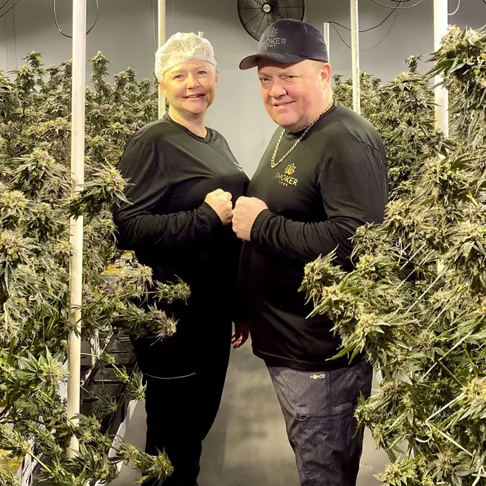 cannabis cultivation