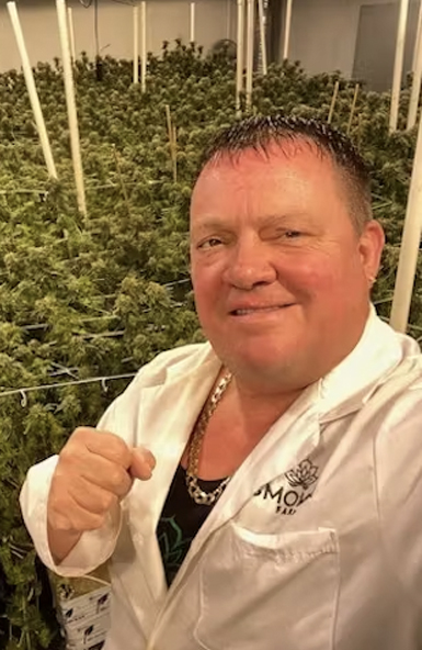 Man in cannabis grow room